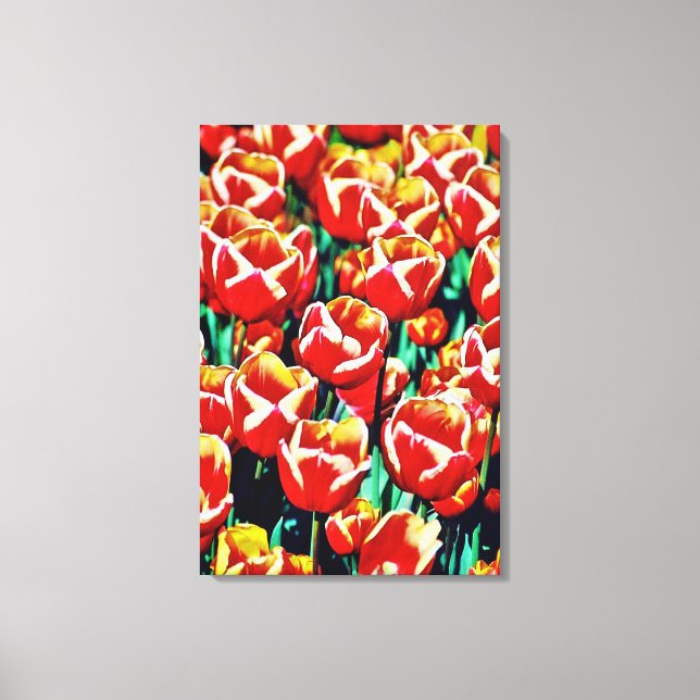 Impression sur toile tendue tulipes  (Recto)