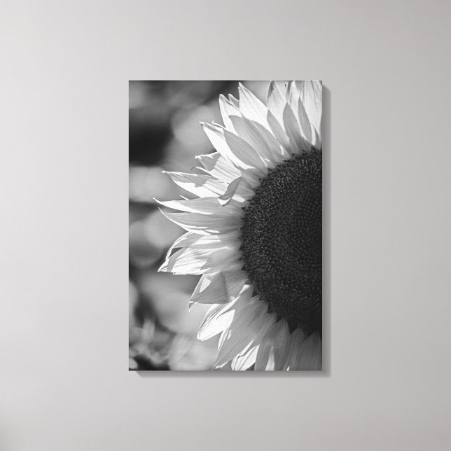 Impression sur toile Tournesol dans le champ NB (Recto)