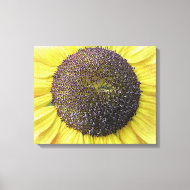 Impression sur toile Tournesol jaune (Recto)
