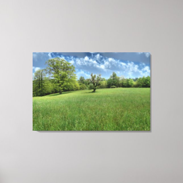 Impression sur toile verte des Appalaches (Recto)