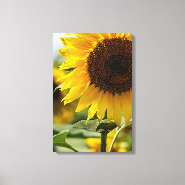Impression sur toile - Vibrance estivale de tourne (Recto)