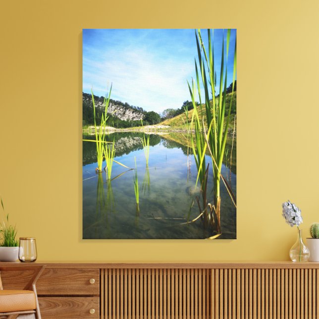 impression sur toile vue eau et montagne (Insitu(Salon))