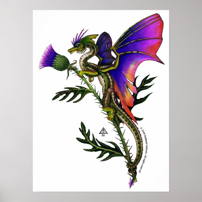 Impression Thistlebairn (Devant)