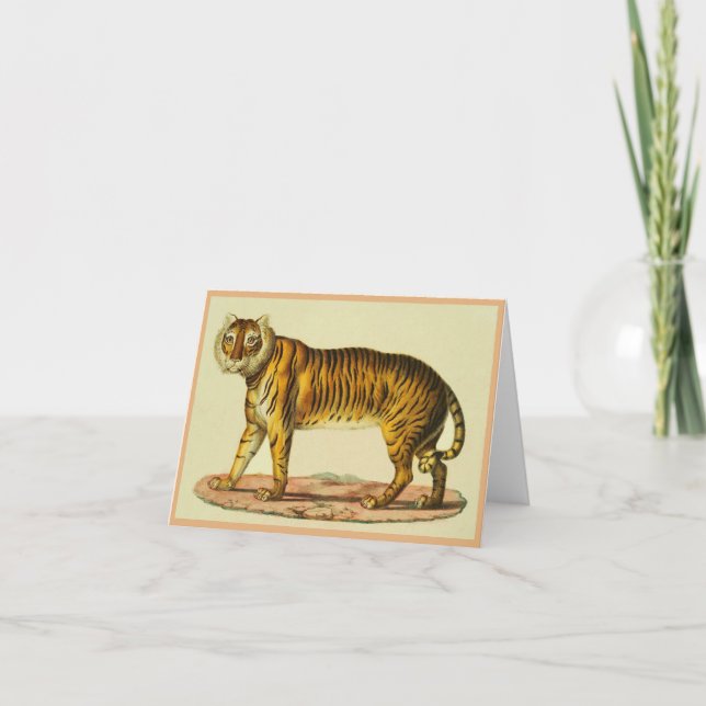 Impression tigre 1824 (Devant)