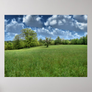 Impression verte des Appalaches