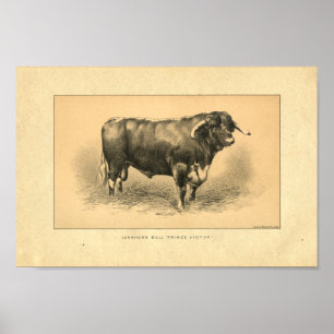 Impression vintage Bull 1888
