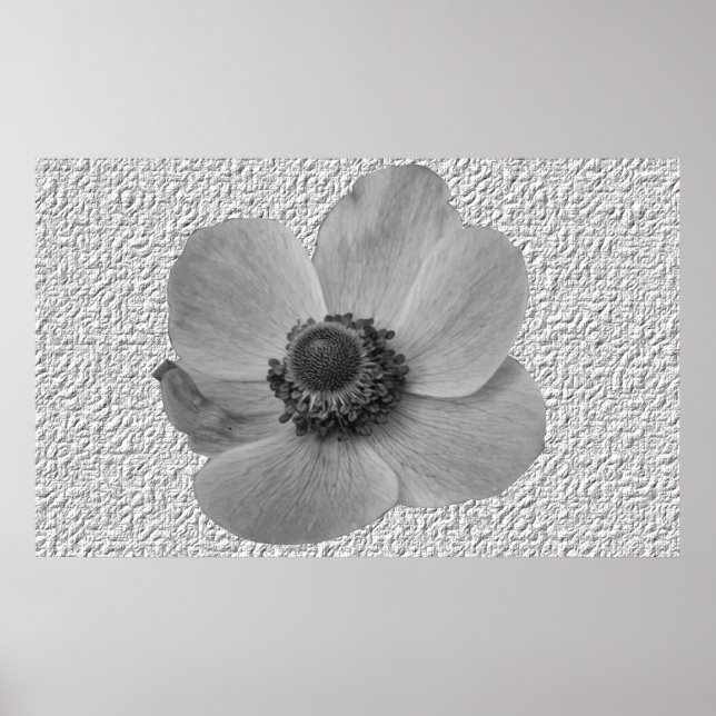 Impression vintage de la fleur d'anémone (Devant)