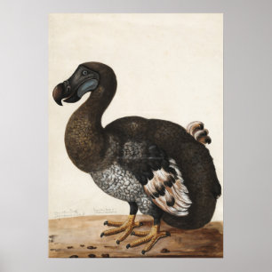 Impression Vintage Dodo Bird