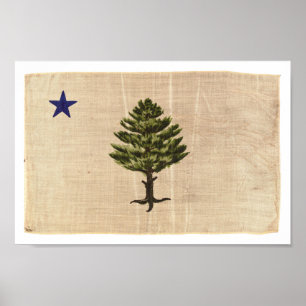 Impression Vintage du drapeau du Maine 1901 (petit