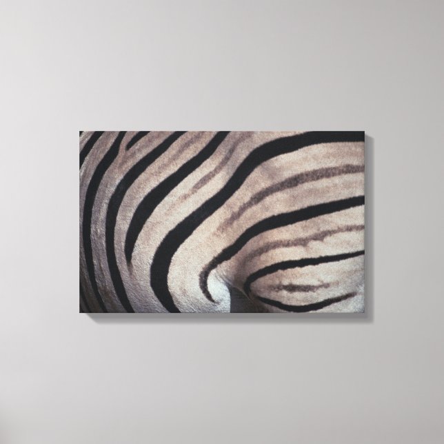 Impression Zebra (Recto)