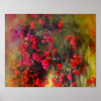 Impressionnisme Poster de Bougainvilliers rouges