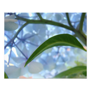 Impressions d'art bleu nature Hortensia Art floral