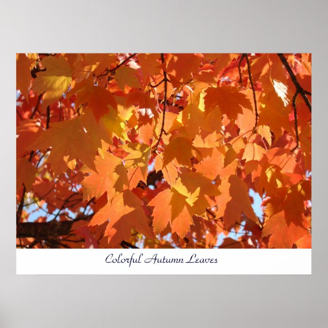 Impressions d'art de feuilles d'automne colorées A (Devant)
