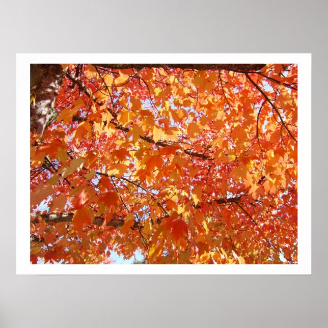 Impressions d'art de feuilles d'automne impression (Devant)