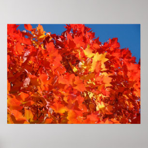 Impressions d'art de feuilles d'automne Rouge Oran