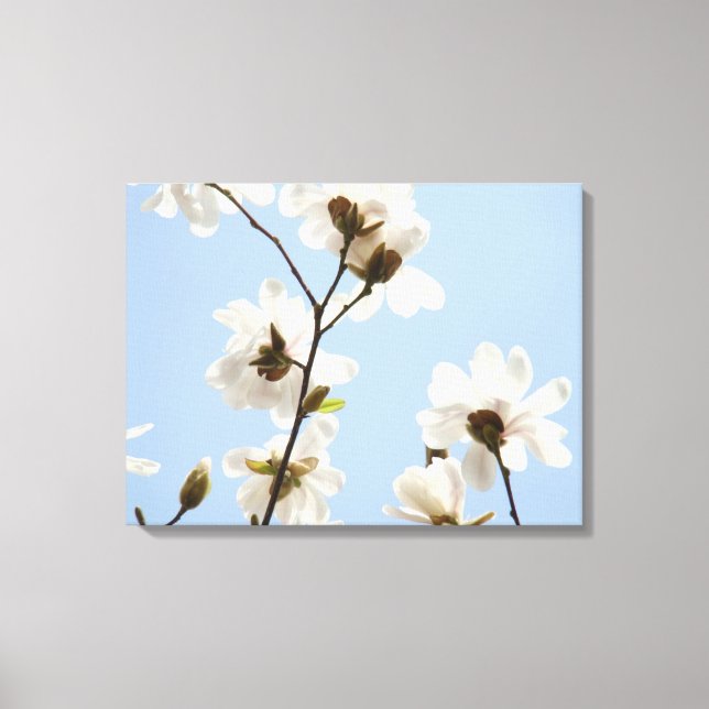Impressions d'art de fleurs de magnolia sur toile (Recto)