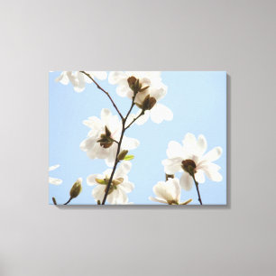 Impressions d'art de fleurs de magnolia sur toile
