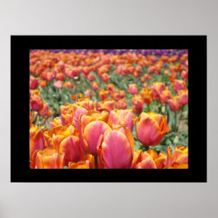 Impressions d'art de fleurs de tulipes colorées Fl