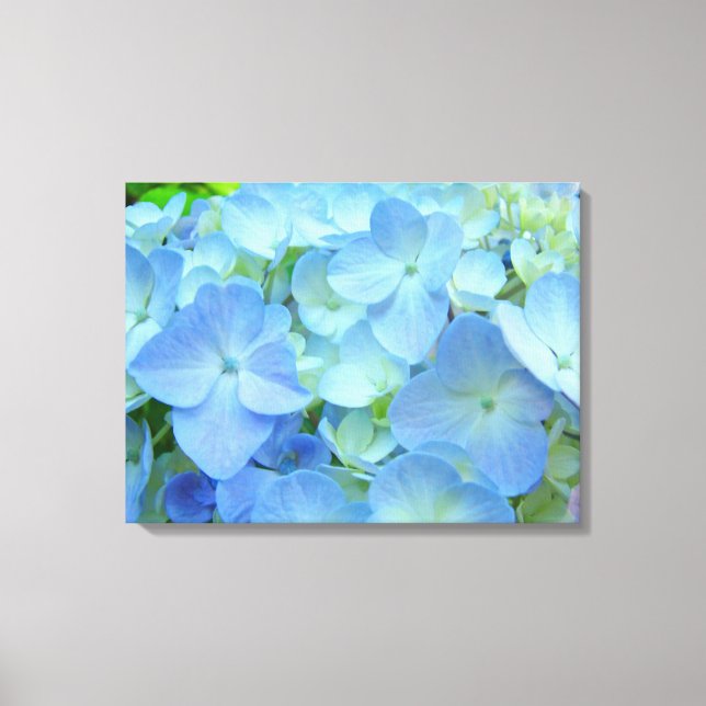 Impressions d'art de fleurs d'hydrangea bleues flo (Recto)