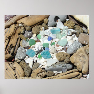 Impressions d'art de jardin de rocaille Coquillage