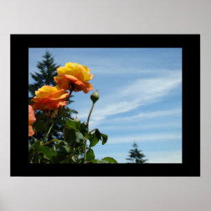 Impressions d'art de jardin de roses Roses orange