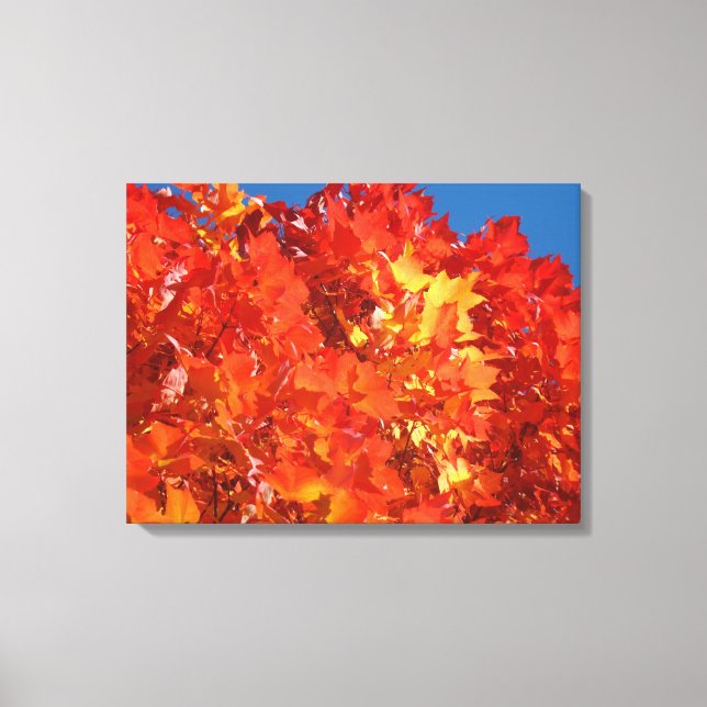 Impressions d'art de la nature sur toile Feuilles  (Recto)