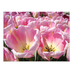 Impressions d'art de photographie florale Tulipes