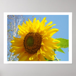 Impressions d'art de tournesol Floral Jaune Été Lu