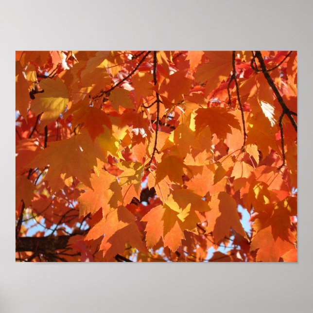 Impressions d'art Feuilles d'automne Feuilles d'ar (Devant)