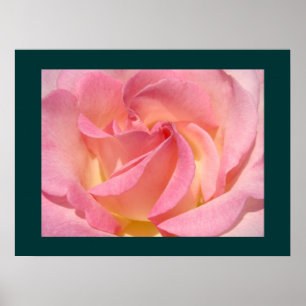 Impressions d'art fin de fleurs de rose rose jardi