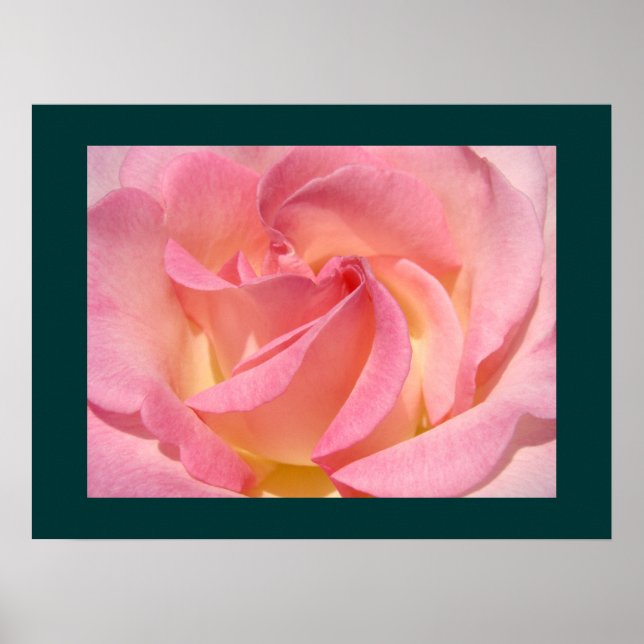 Impressions d'art fin de fleurs de rose rose jardi (Devant)