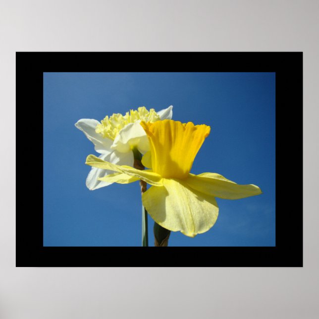 Impressions d'art fin de printemps Jonquille jaune (Devant)