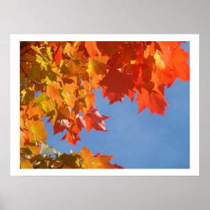 Impressions d'art fin nature Feuilles d'automne co