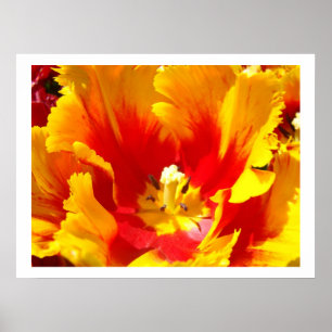 Impressions d'art floral de tulipe rouge jaune