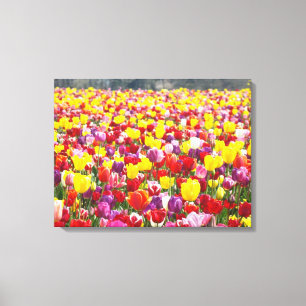 Impressions d'art sur toile à trois panneaux Tulip