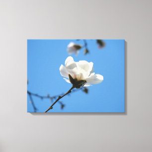 Impressions d'art sur toile Ciel Bleu Fleur de Mag