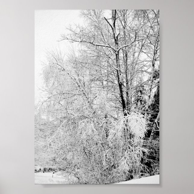 Impressions de Blancs d'Hiver (Devant)