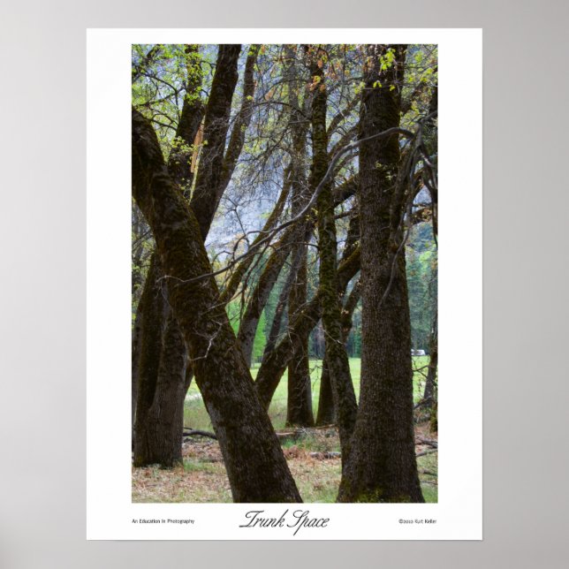 Impressions de l'espace du coffre (Devant)