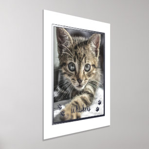 Impressions Dorure Amoureux des animaux mignons Photo de chat personn