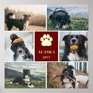 Impressions Dorure Bourgogne Golden Empreinte de patte 6 Photo Collag