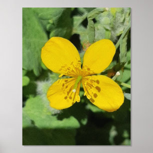 IMPRESSIONS DORURE  IMPRIMER L'ART ET LA CONCEPTION DES POSTES