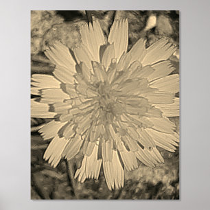 IMPRESSIONS DORURE  IMPRIMER L'ART ET LA CONCEPTION DES POSTES