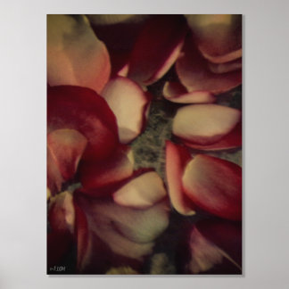 Impressions Dorure Rose vintage Pétales Gold ou Silver Foil Imprimer