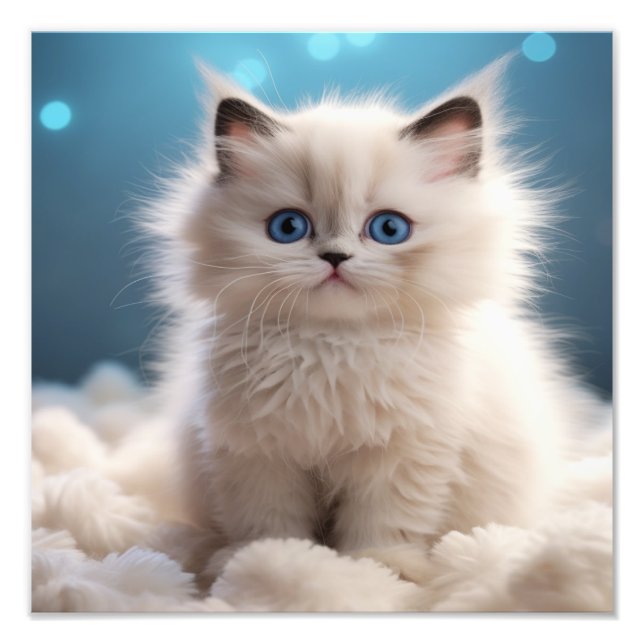 Impressions pour nurserie de chatons et chambre d' (Devant)