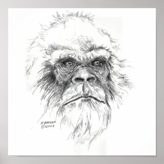 Impressions Sasquatch