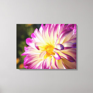 Impressions sur toile d'art en panneau Jardin de f