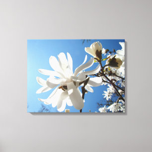 Impressions sur toile d'art floral Ciel Bleu Magno