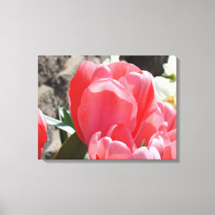 Impressions sur toile de jardin de tulipes botaniq