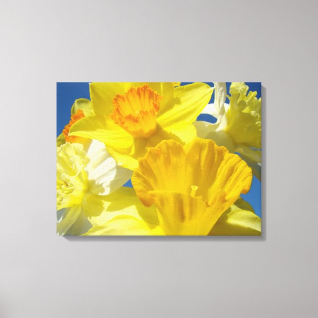 Impressions sur toile de jonquilles de printemps N (Recto)