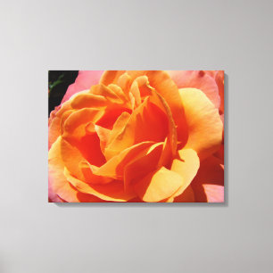 Impressions sur toile de rose orange rose fleurs
